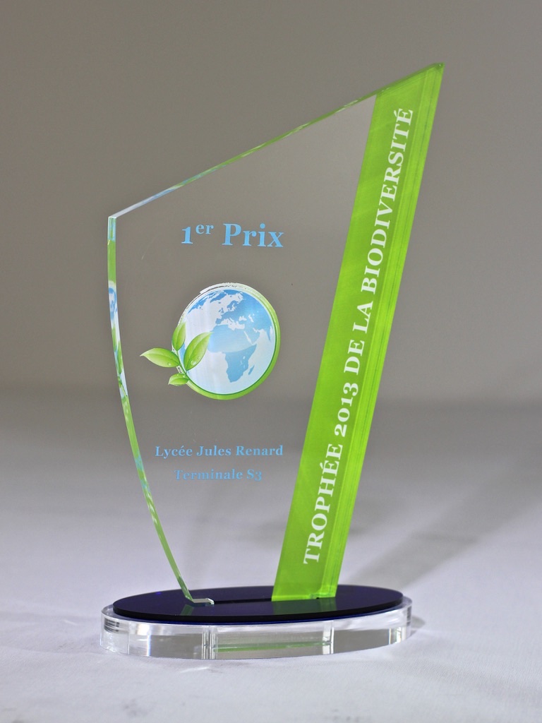 Spéciaux-Ronds-plexi-communication (7)